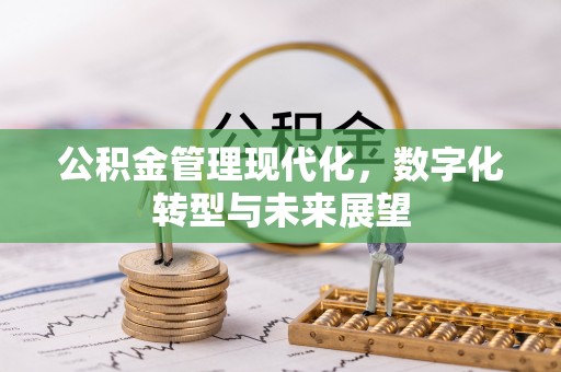 山上公积金管理现代化，数字化转型与未来展望