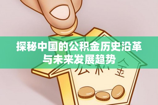 山上探秘中国的公积金历史沿革与未来发展趋势