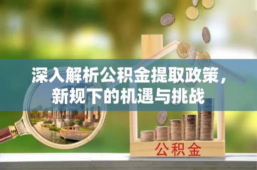 山上深入解析公积金提取政策，新规下的机遇与挑战