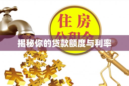 山上揭秘你的贷款额度与利率