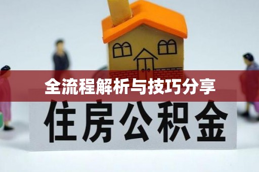 山上全流程解析与技巧分享