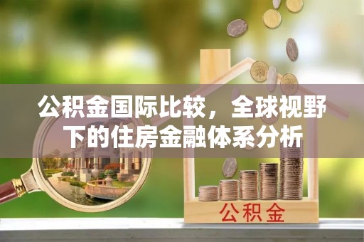 山上公积金国际比较，全球视野下的住房金融体系分析